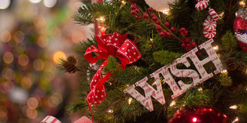 «Семена желаний» семинар-практикум