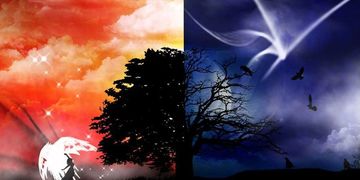 Умерла Вероника...